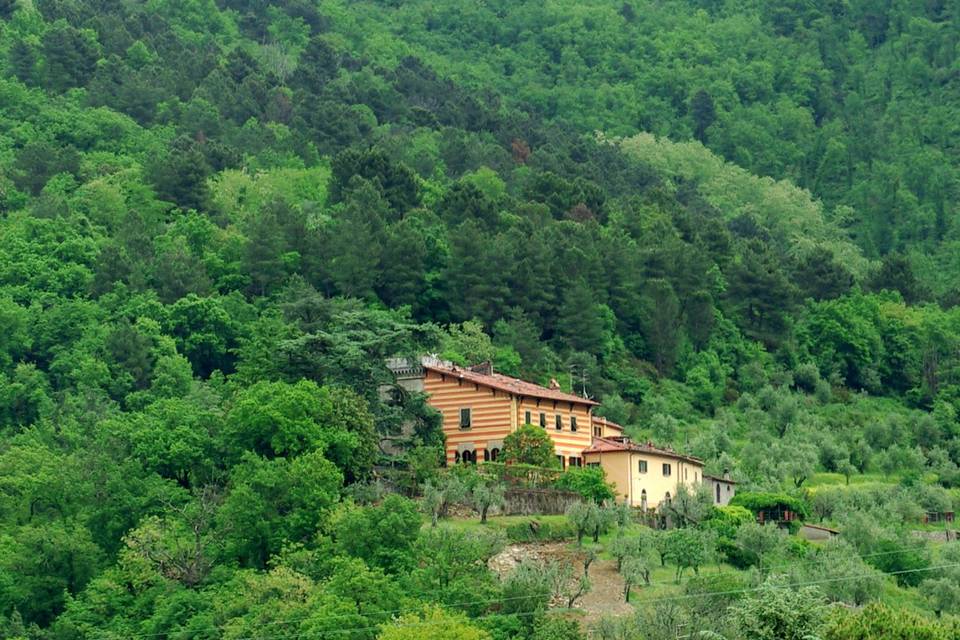 Villa San Simone nel paesaggio