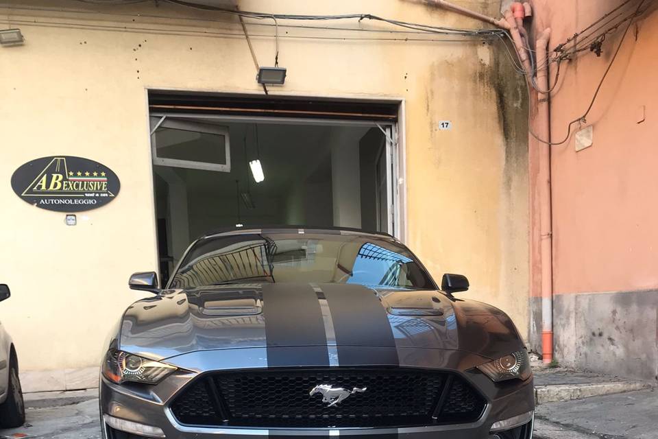 Mustang Shelby cabrio