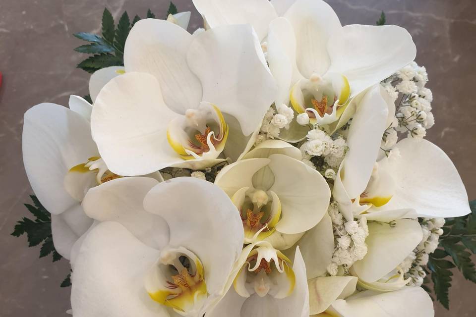 Bouquet orchidee