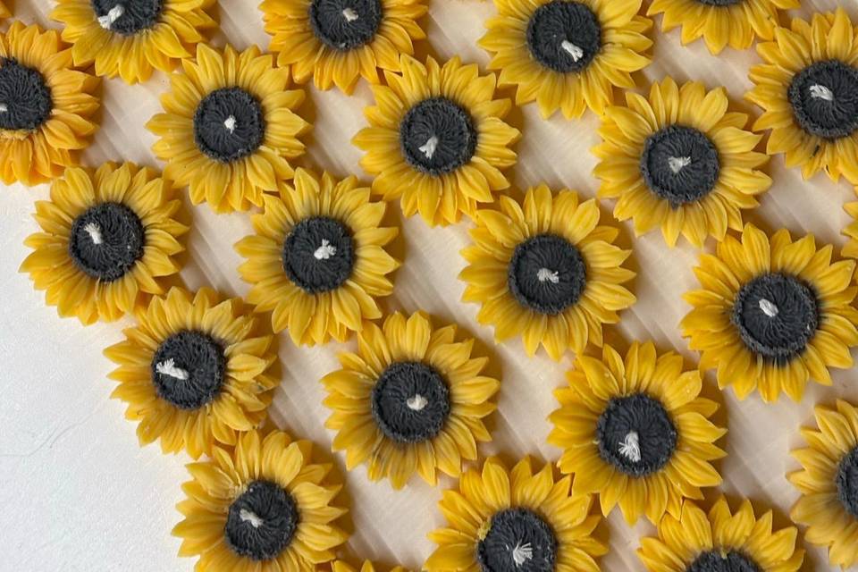 Girasoli