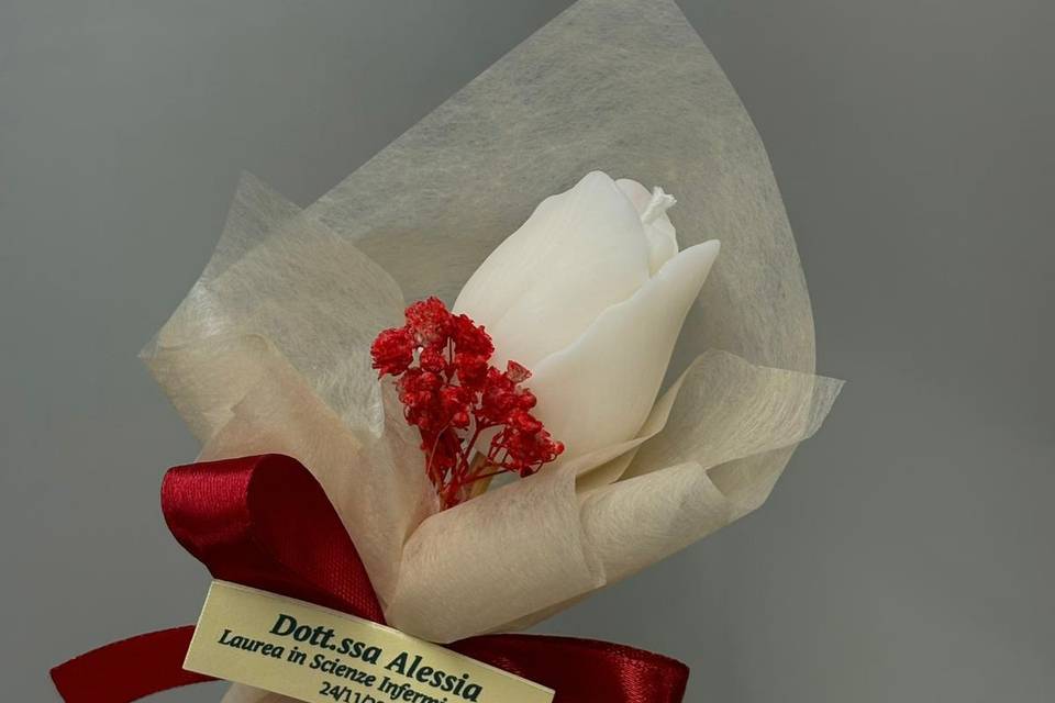 Tulipani
