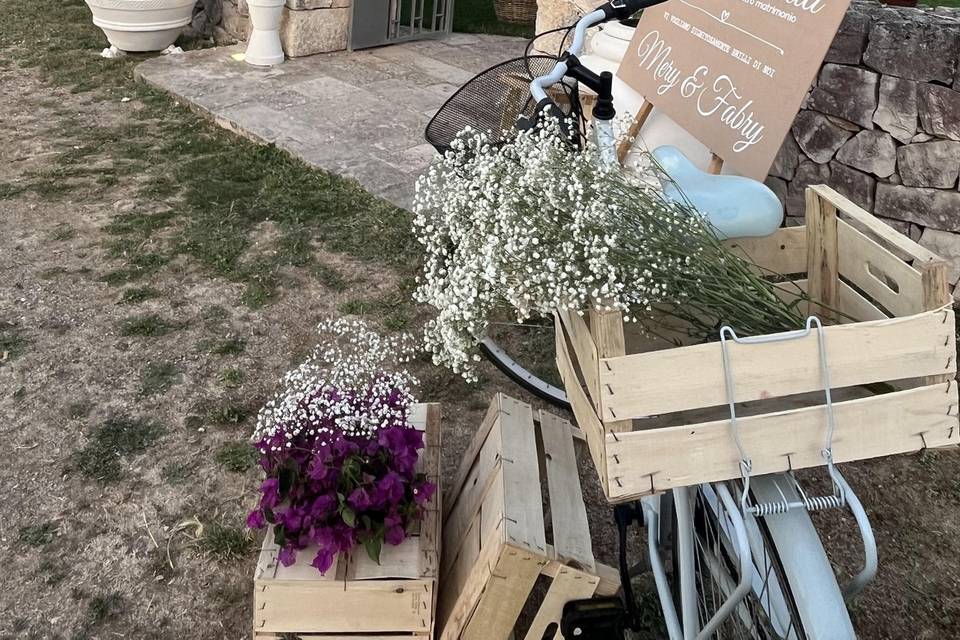 Accoglienza