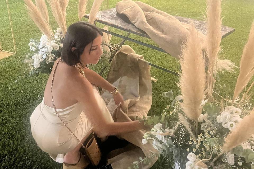 Tema pampas