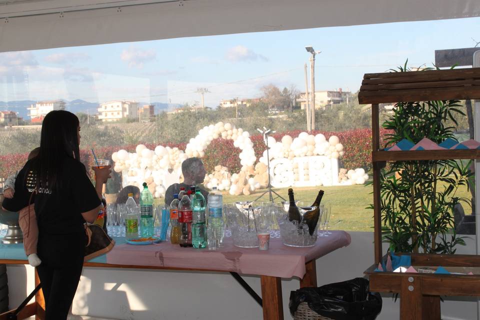 Baby Shower