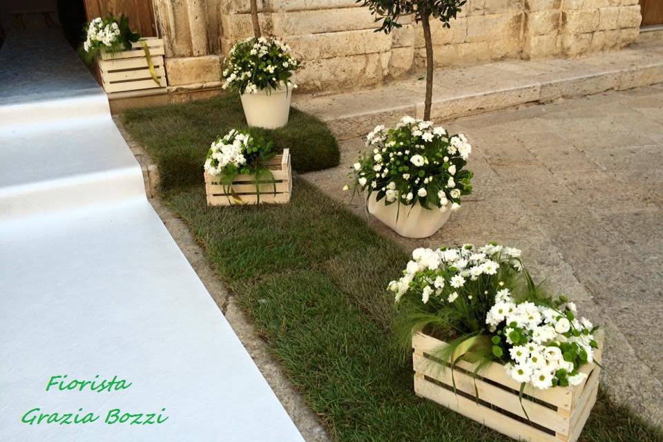 Fiori e Piante di Grazia Bozzi