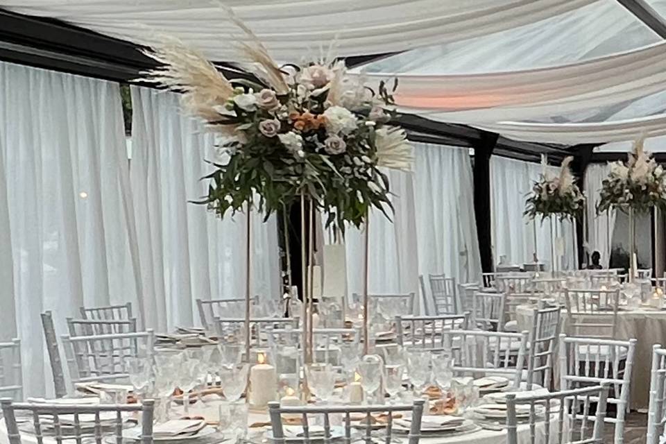 Bouquet Pampas