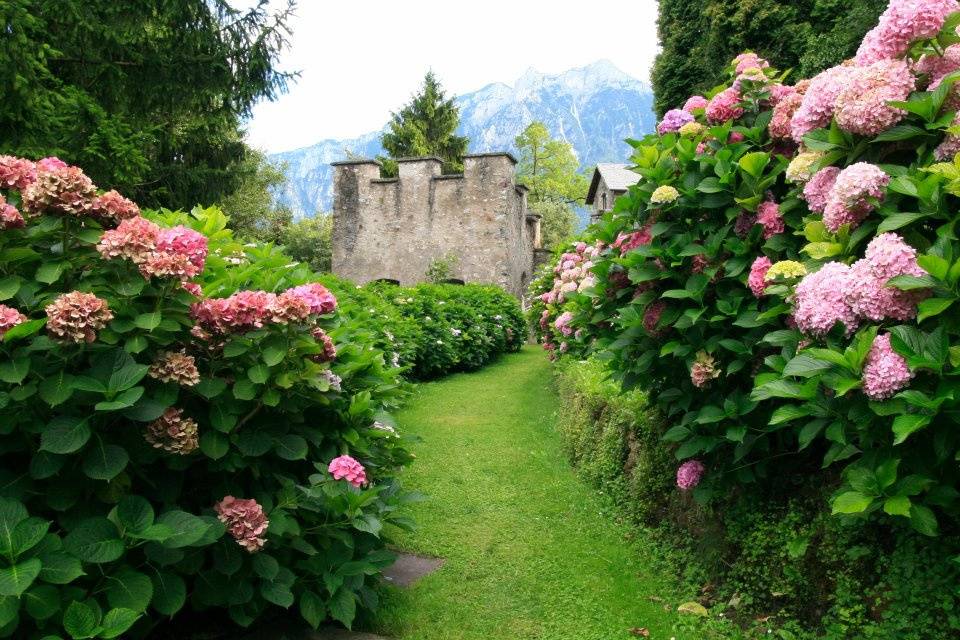 Corridoio delle ortensie