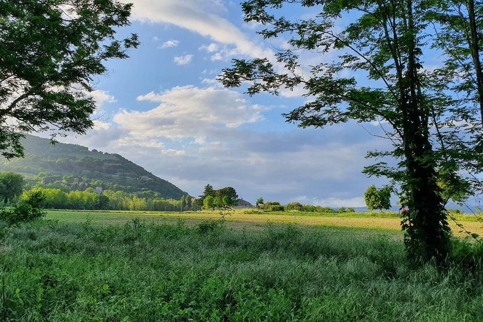 Scorci del parco