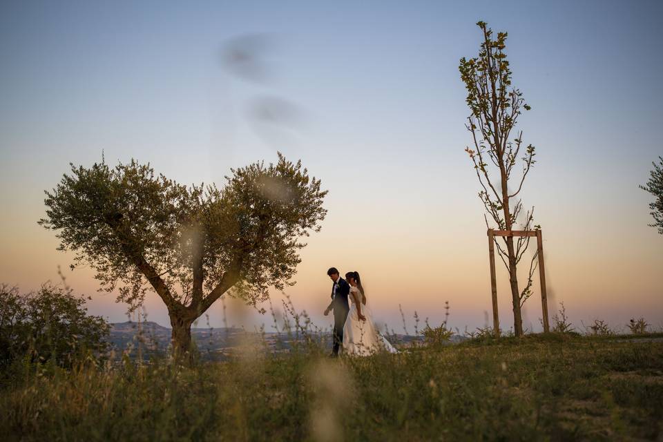 Cuore d'albero