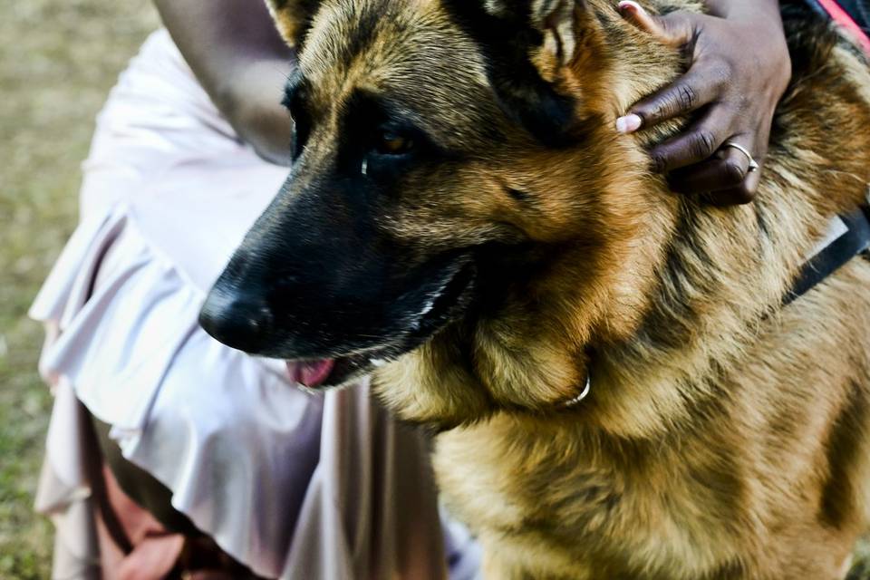 Wedding portrait