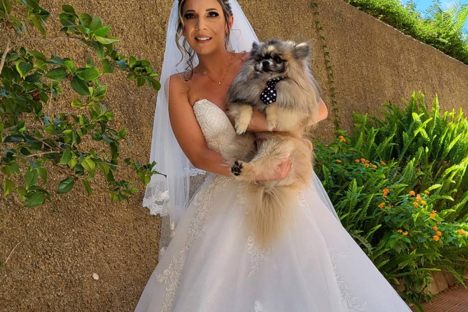 Rocky e la sposa