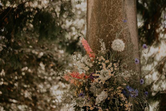 Ph S. Busiol