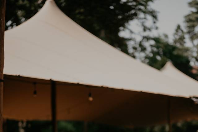 Tent (Ph S Busiol)