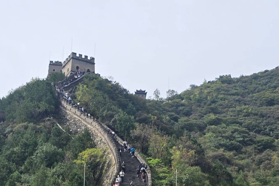Cina