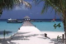 Maldive