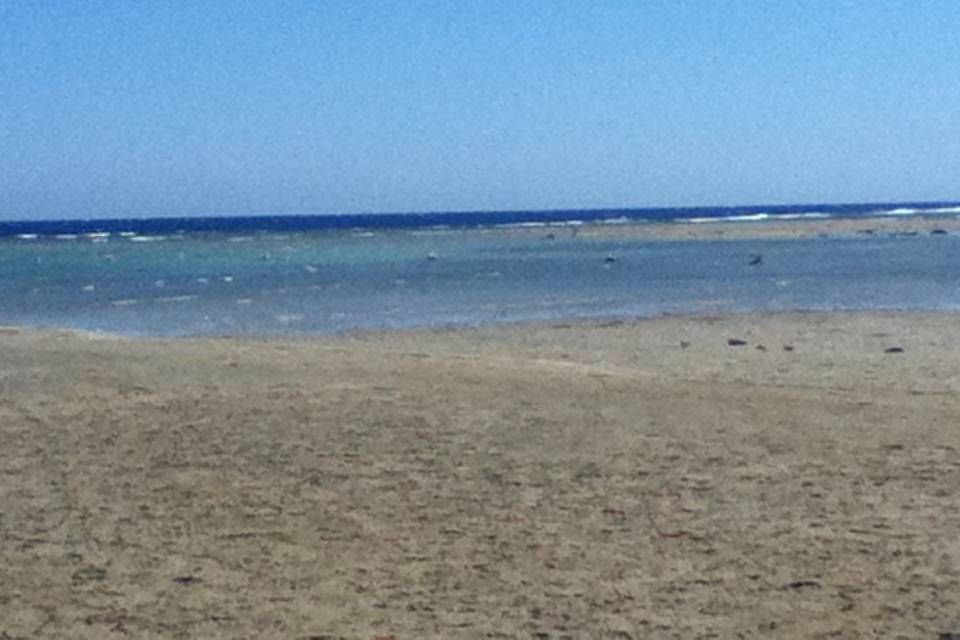 Marsa alam