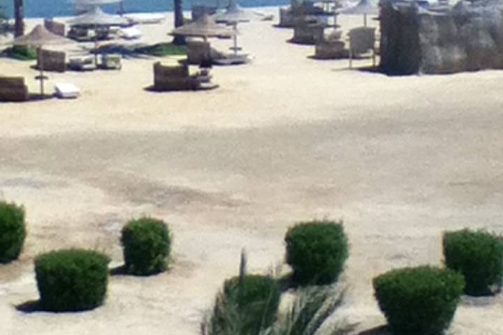 Marsa alam