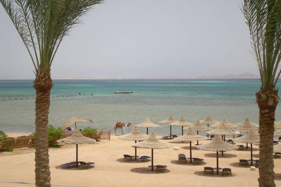 Sharm el sheikh