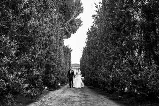 Alborino Photography & Film