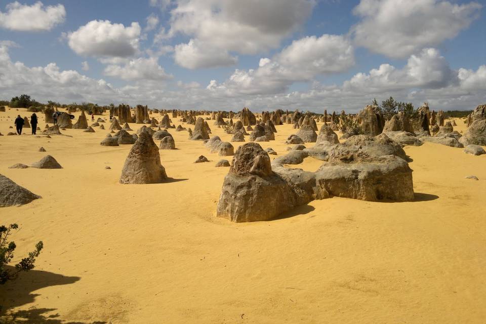 Deserto Pinnacoli Australia