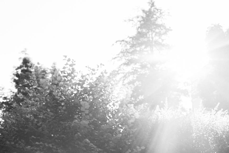 Controluce