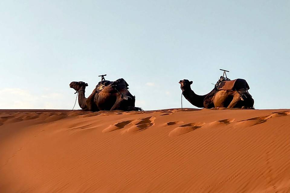 Marocco deserto