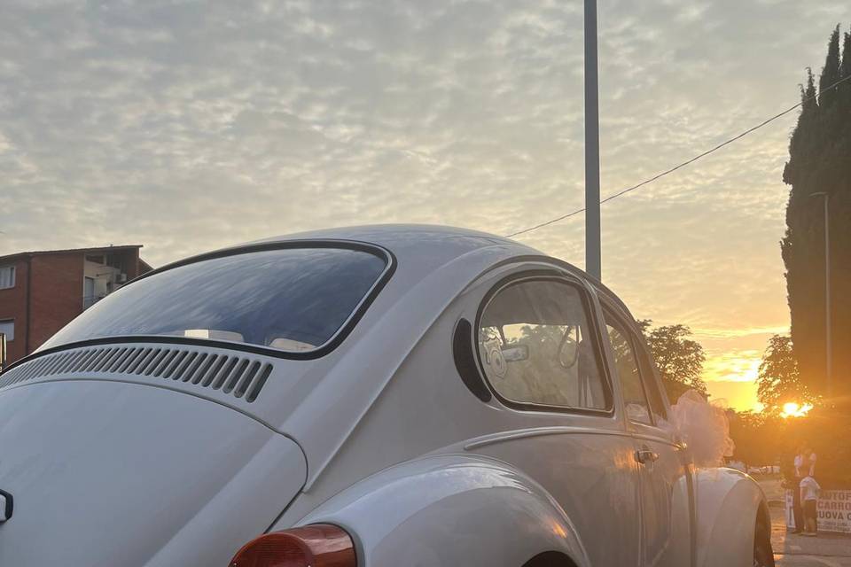 Maggiolino retro