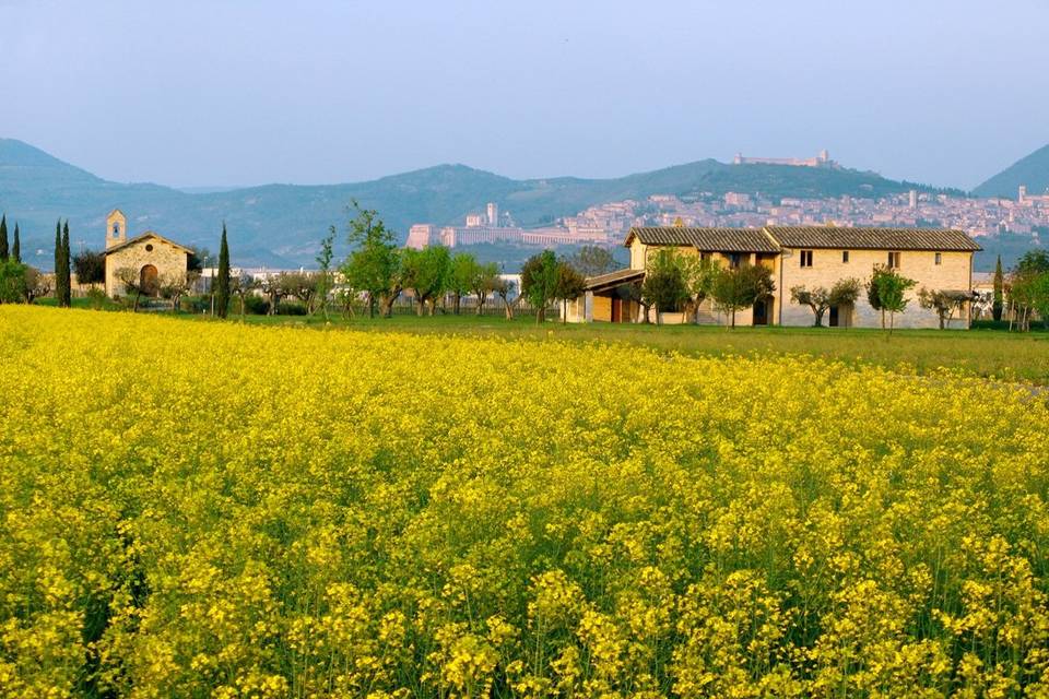 Valle di Assisi