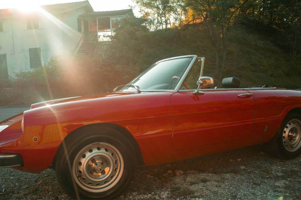 Dusty Old Cars