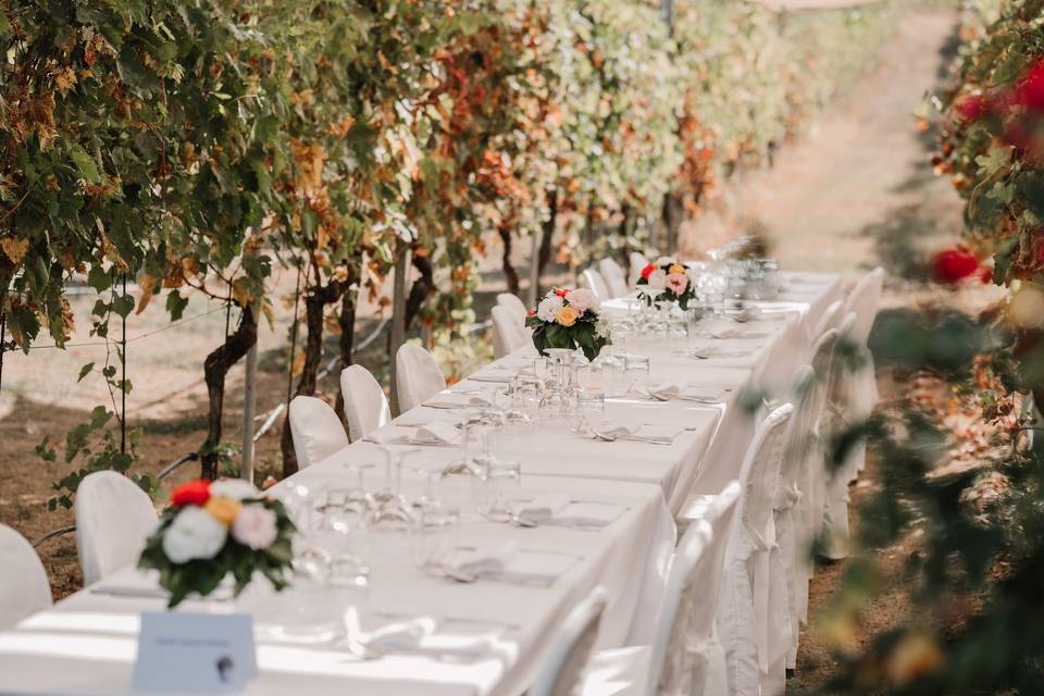 Matrimonio in vigna