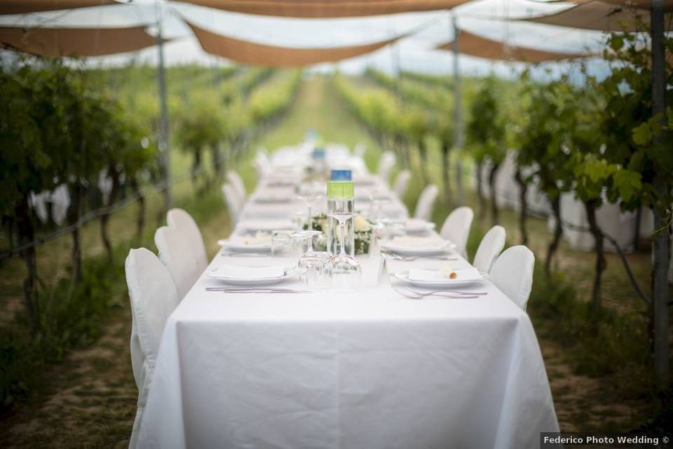 Matrimonio a pranzo in vigna