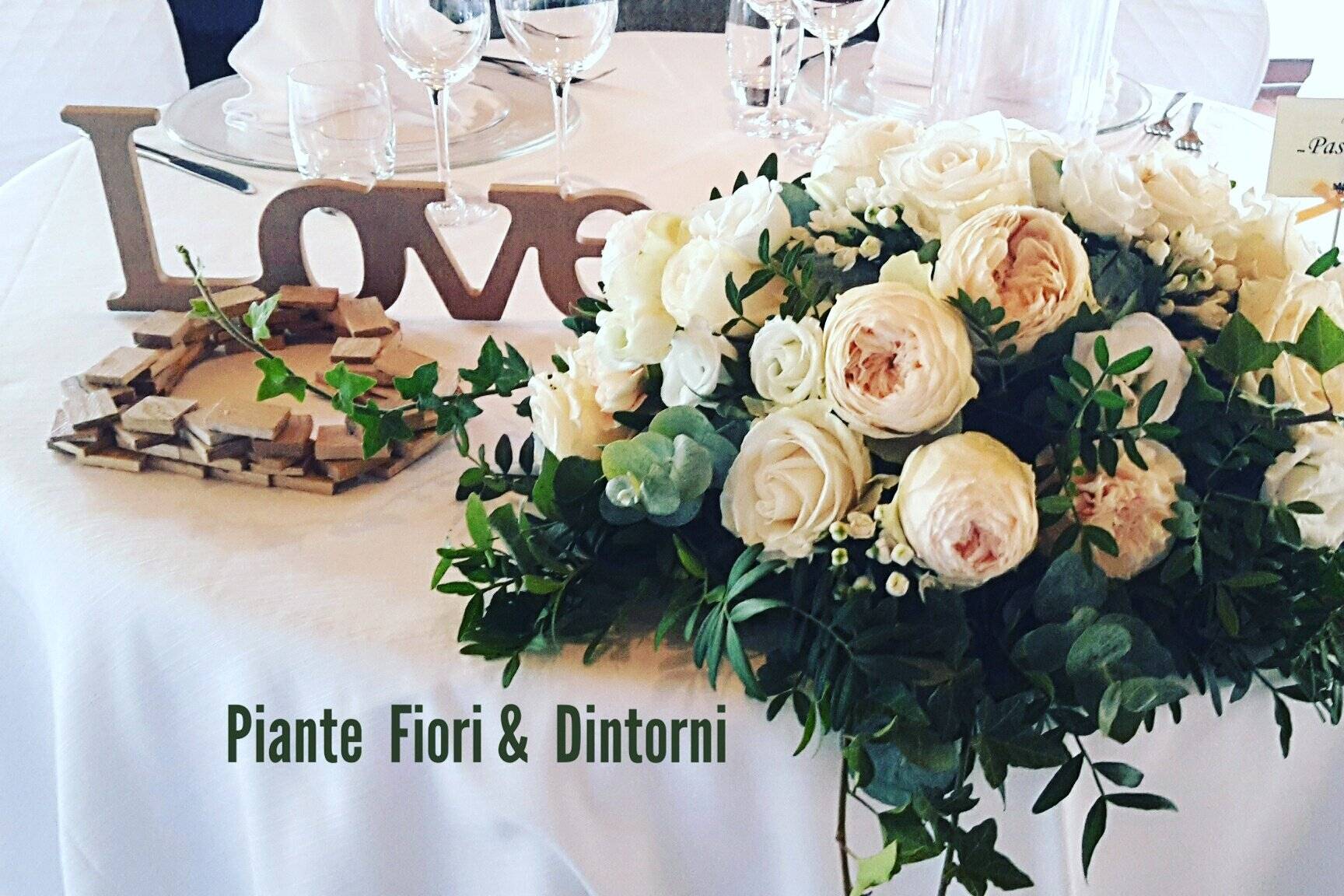 Piante Fiori Dintorni Consulta La Disponibilit E I Prezzi