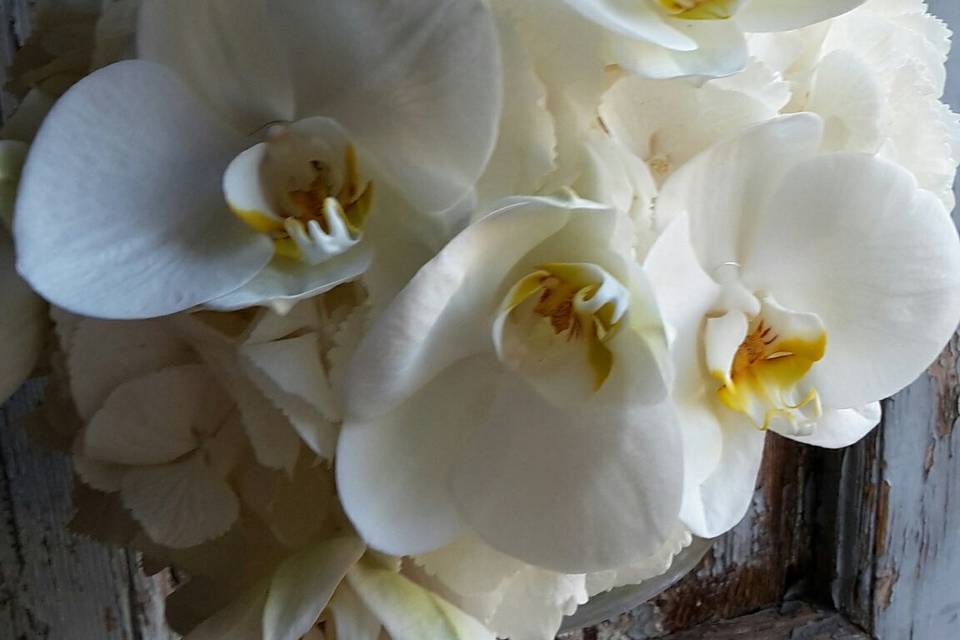 Bouquet Orchidee