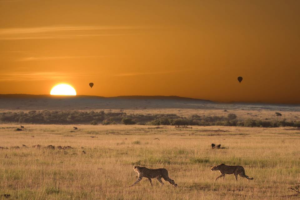 Kenya