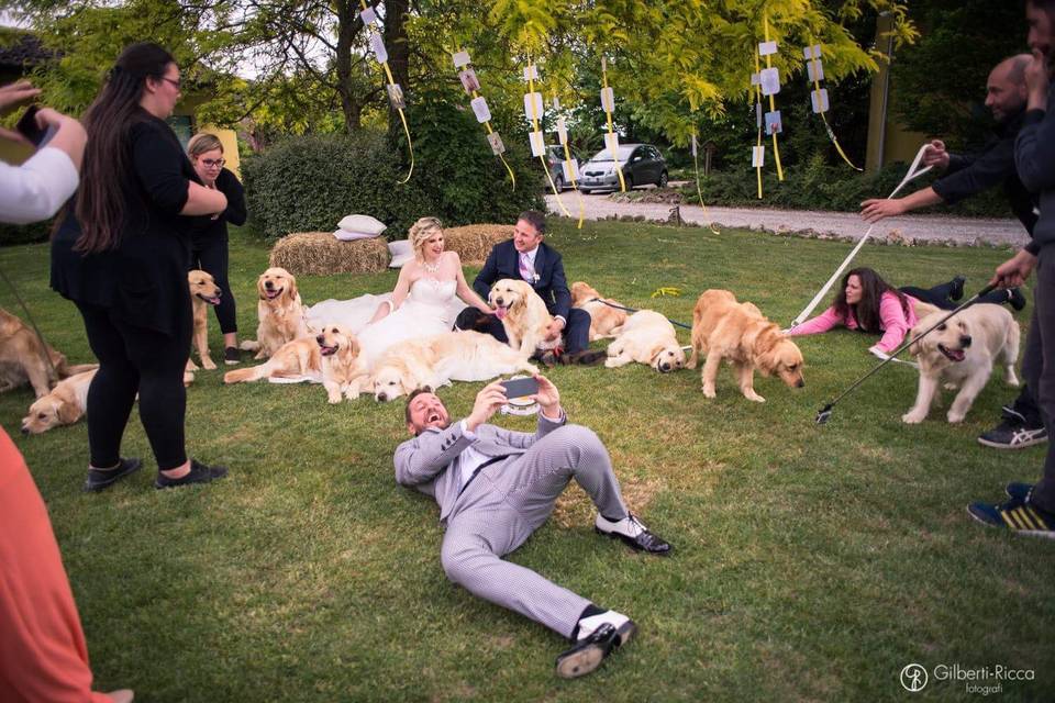 Loving Dogs Wedding