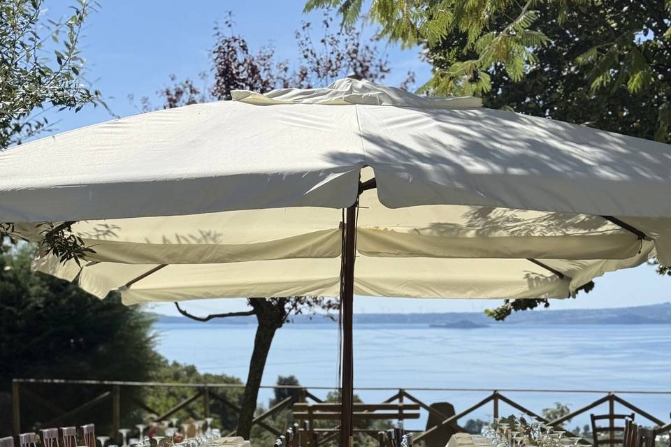 Vista