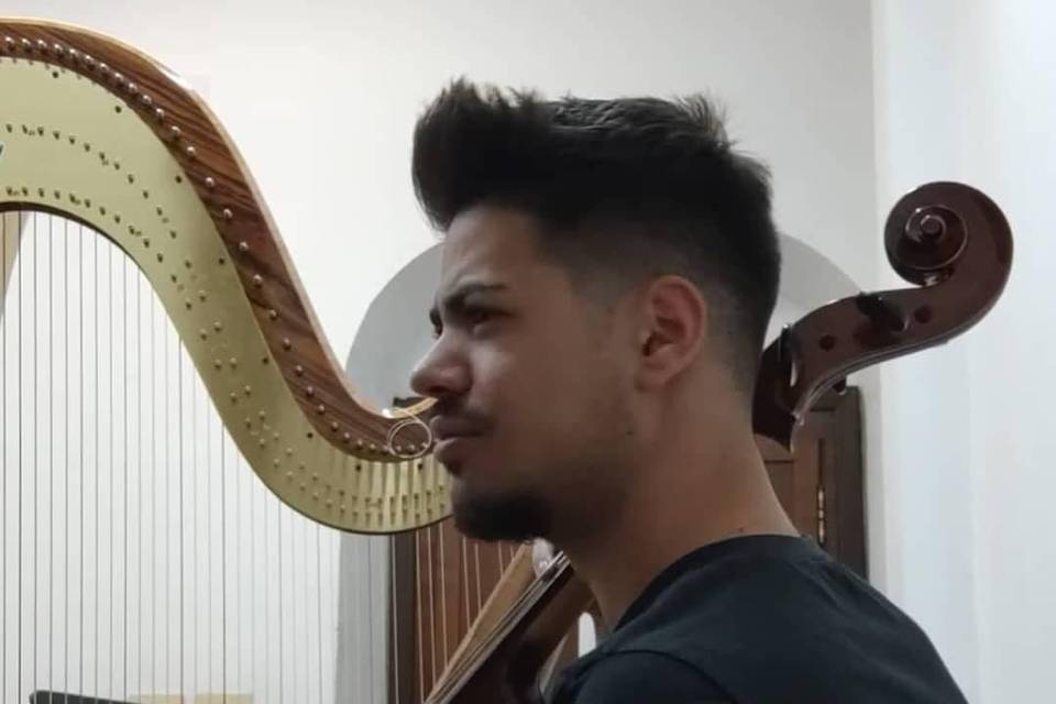 Duo cello e arpa