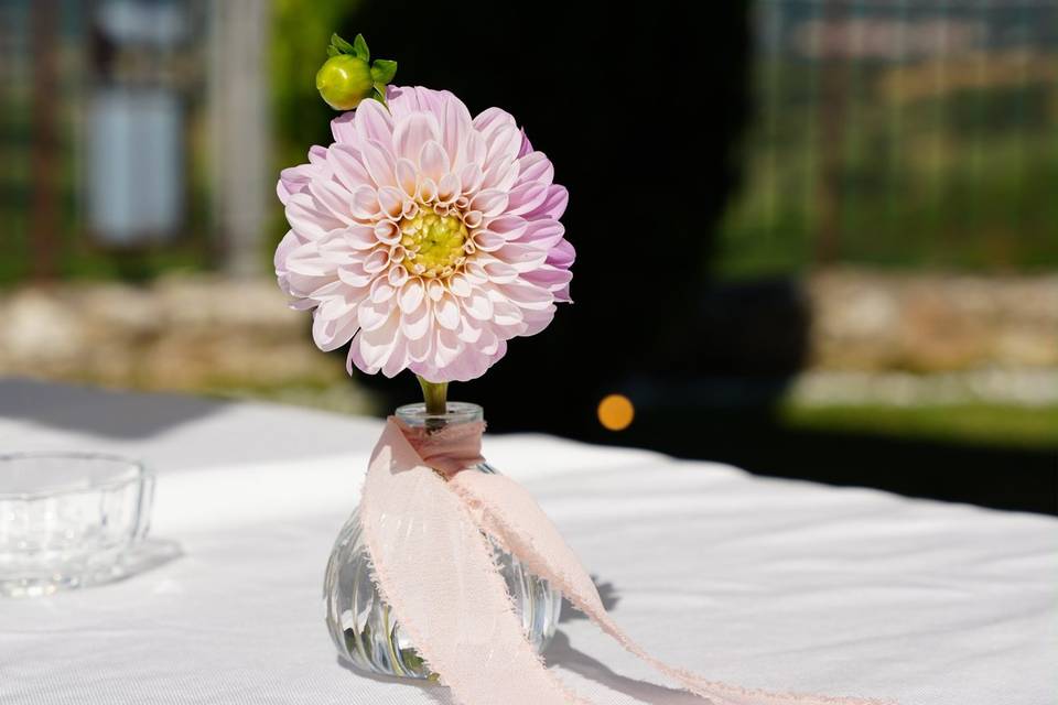 Dalia