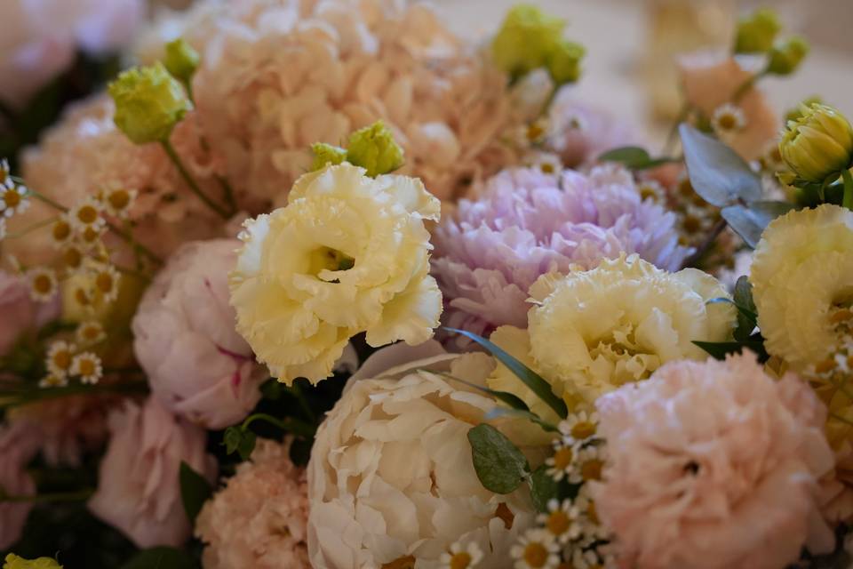 Peonie,lisianthus,camomilla