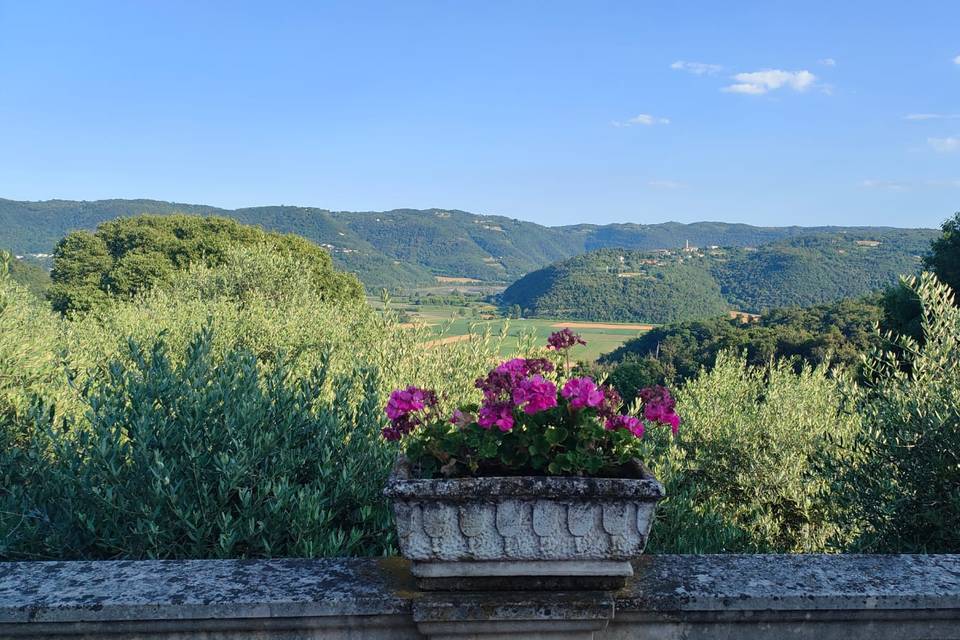 Panorama