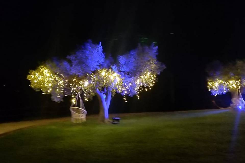 Giardino di notte