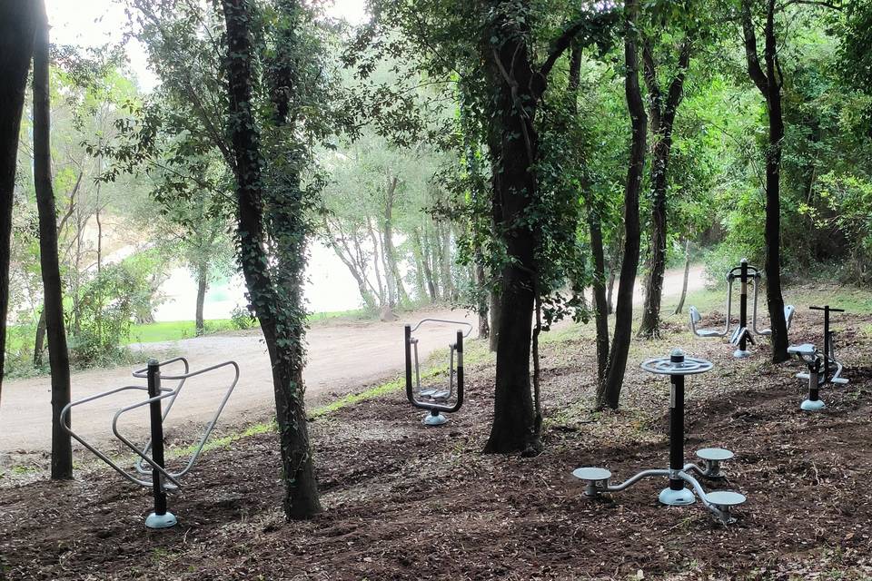 Area fitness