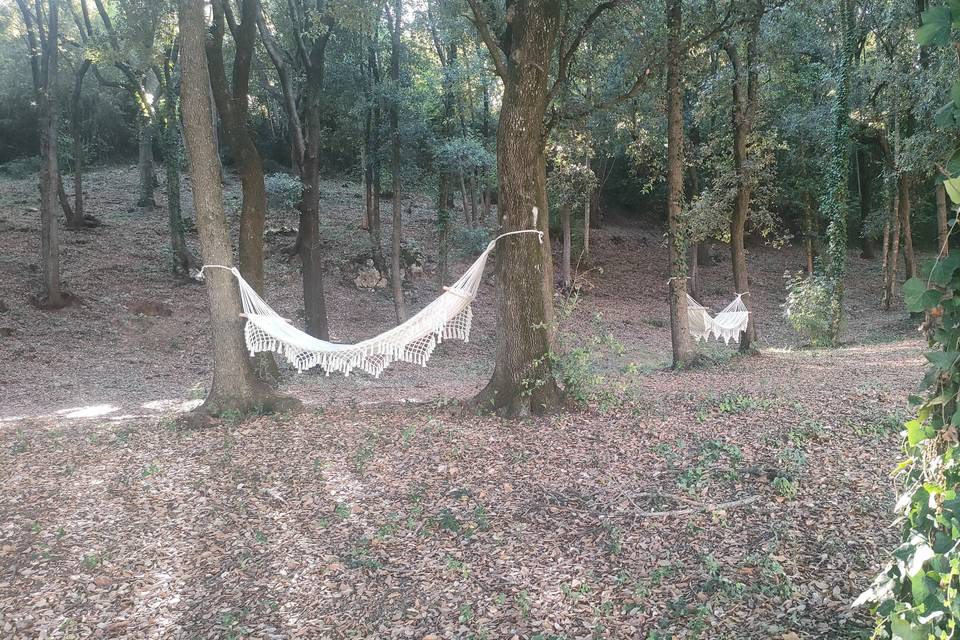 Area relax