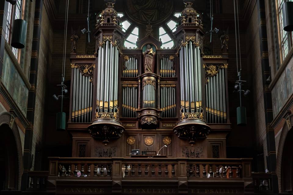 Samuele organista e pianista