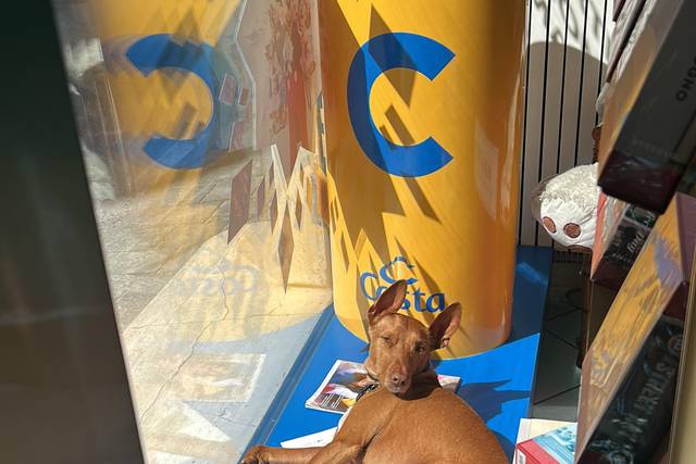 Vetrina con mascotte