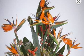 Composizione floreale