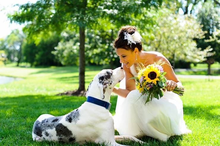 Sposa con cane sul prato