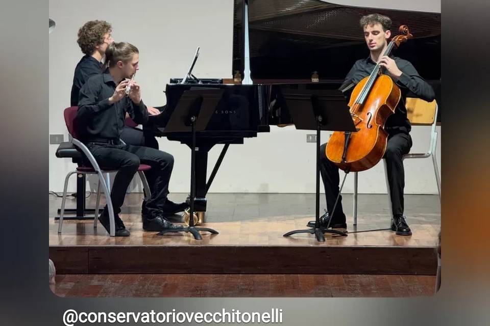 Trio Weber