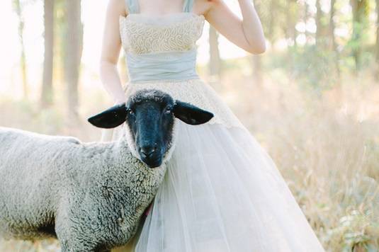 Sposa montagna