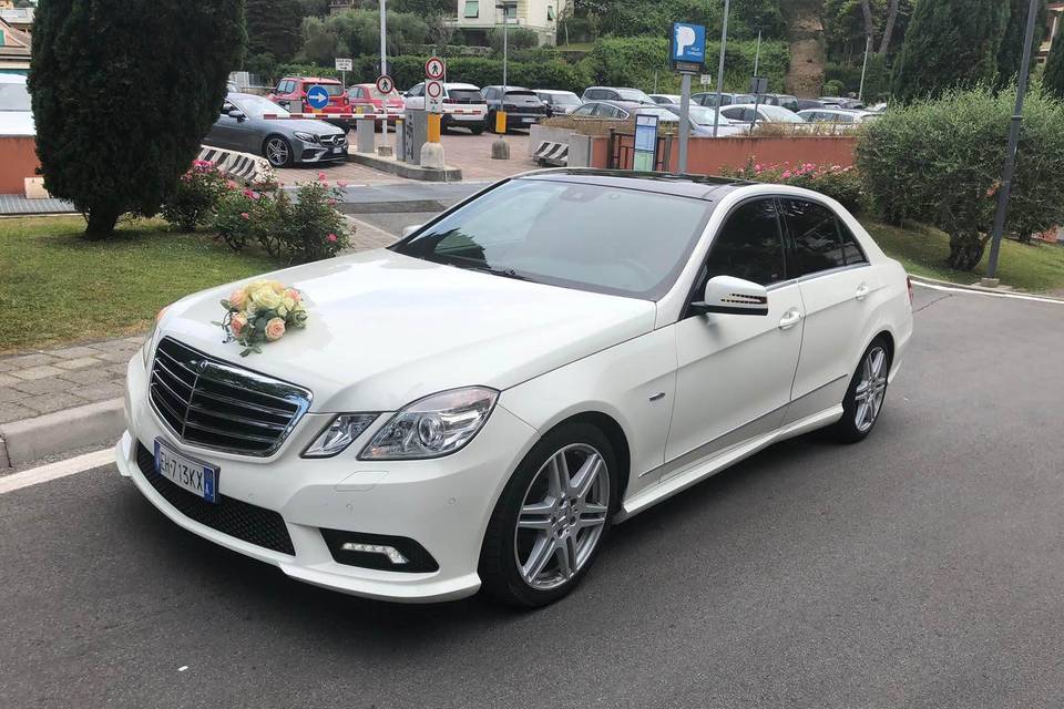 Noleggio Mercedes Siena